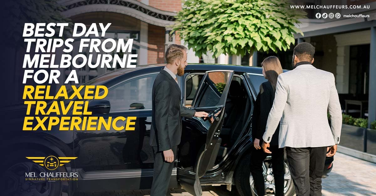 Best Day Trips from Melbourne for a Relaxed Travel Experience